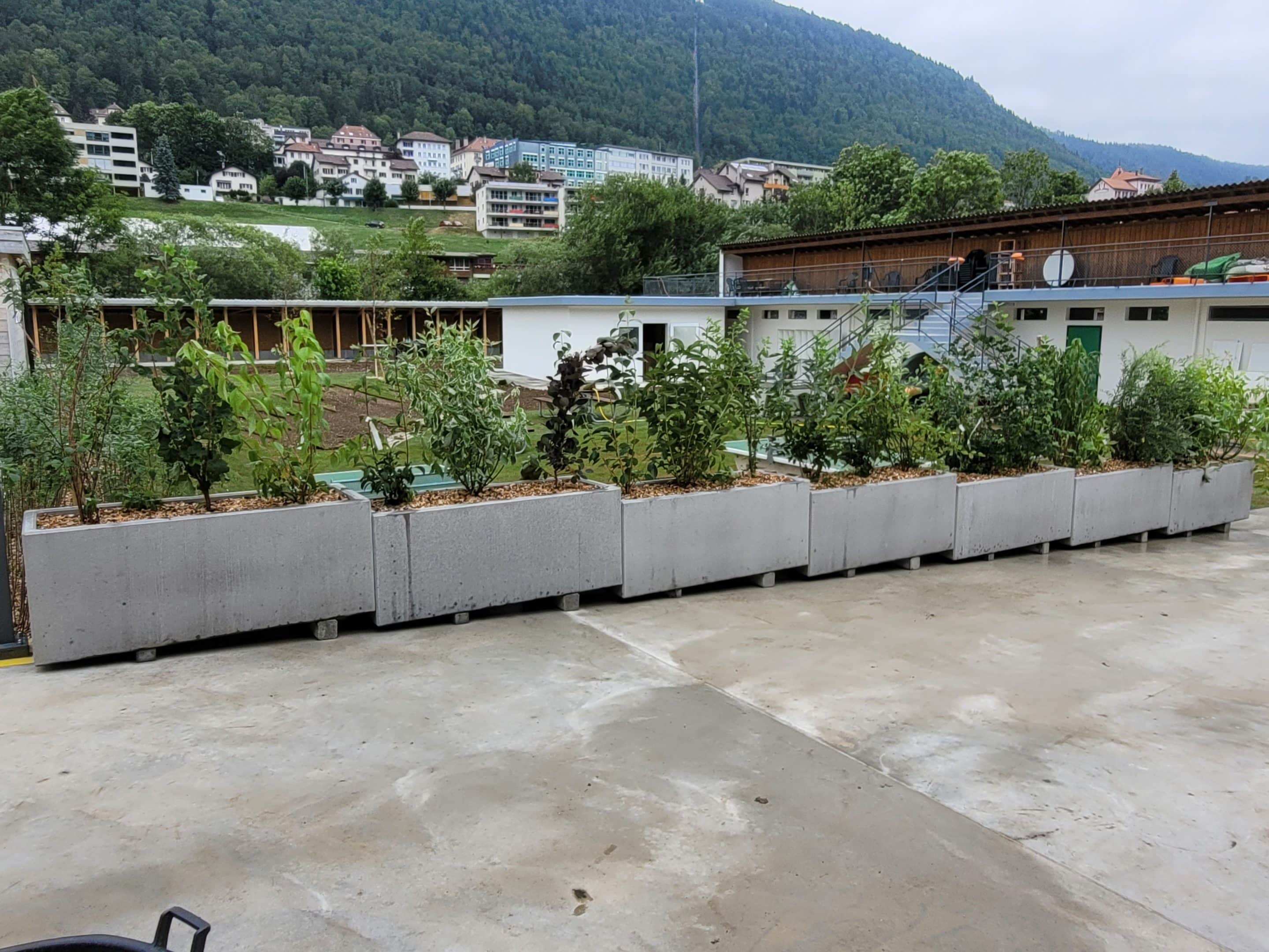 jardin-passion-rizzi_renovation-piscine_18